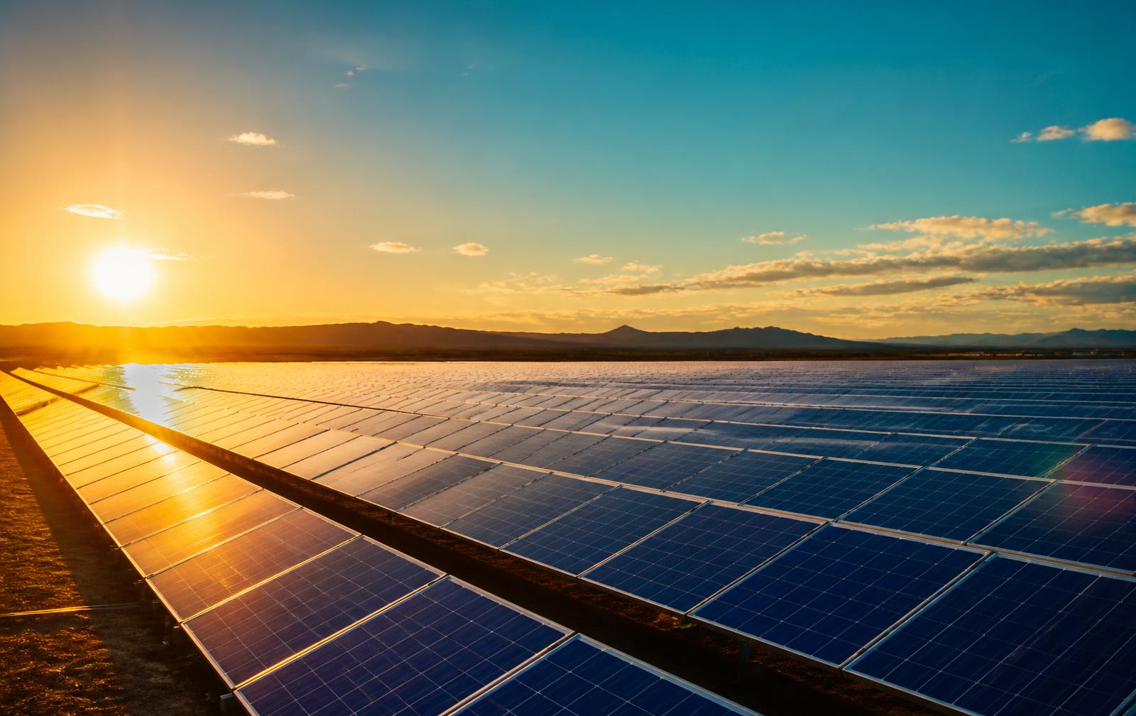 Utility-scale solar farm with rows of photovoltaic panels at golden hour